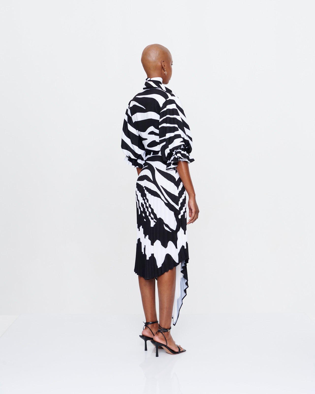 Zebra Ru Dress